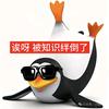 来自2028的大模型算法工程师
