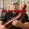 阿乐户外！