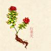 木燊识本草