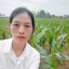 小七说农业