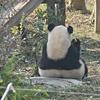 不二