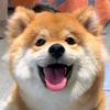奇趣大自然