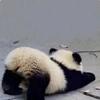 仓西