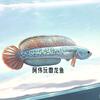 阿伟玩雷龙鱼