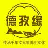 阿拉善文冠果追梦人