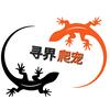 寻界爬宠【守宫 蜥蜴】
