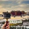 曲音乐账号