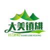 大美镇雄