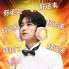 奇乐柏樱77🥤（见过乐圈求亲签版）