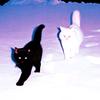 赫兹的猫