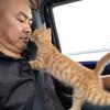 大叔爱玩猫