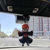 丿只看着我丨