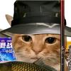 猫meme爱钓鱼