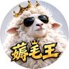 薅毛王🐏