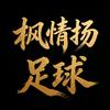 枫情扬足球