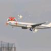 flightA330✈️