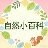 自然小百科