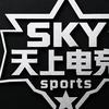 天上（天上电竟）