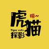 虎猫探影