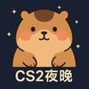 cs2夜晚