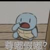 尊嘟假嘟