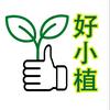 好小植花卉植物