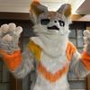 雨火furry
