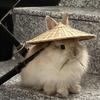 梧叶