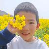 不踩坑的小明同学