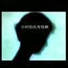 小村的长专短解