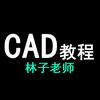 CAD林子老师