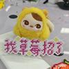 e颗牛油果