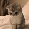 公孙汚れがない｀玄