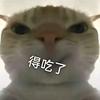鼠鼠代肝