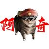 暗区阿奇