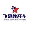 飞哥教开车（专业版）