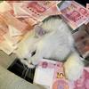 与久