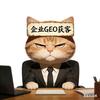 企业GEO获客王百万