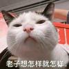 想怎样就怎样