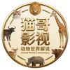 猫哥戏说动物世界