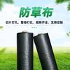 防草布厂家直供