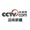 央视网品味新疆