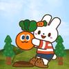 小辉辉🥕