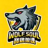 宝鸡狼魂球迷会