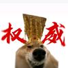 一一一