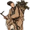 草本老翁【橱窗有好物】