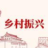 乡村锦囊振兴规划