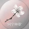 阿宁种草