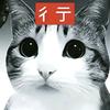 小猫不玩李华