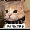 无敌破坏王